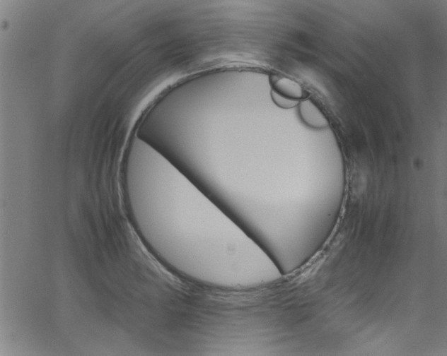 X0000065981182200603030922