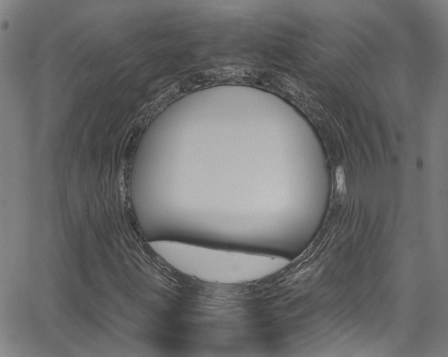 X0000065981203200603030921