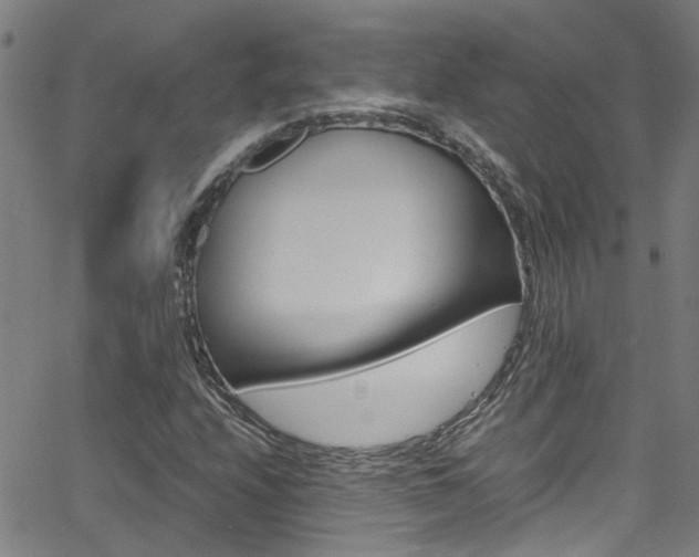 X0000065981208200603030921