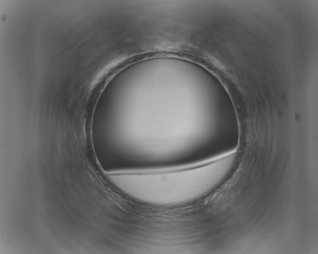 X0000065981214200603030921