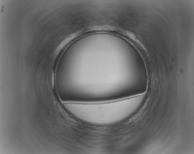 X0000065981221200603030922