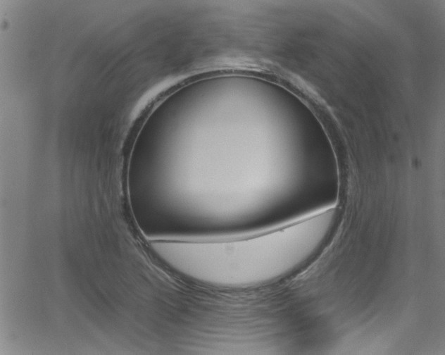 X0000065981222200603030922