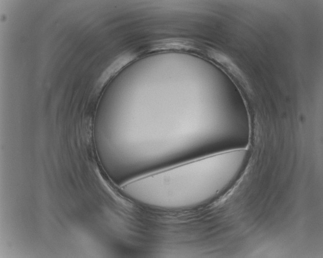 X0000065981233200603030922