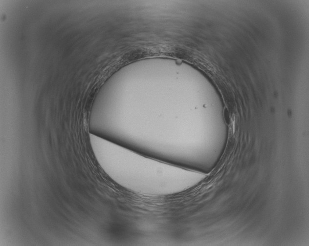 X0000065981251200603030921