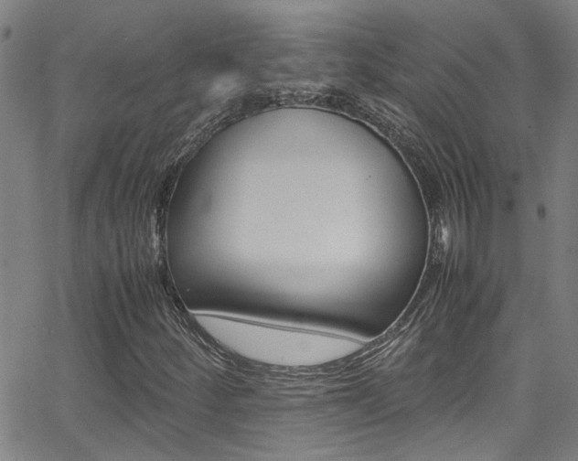 X0000065981252200603030921