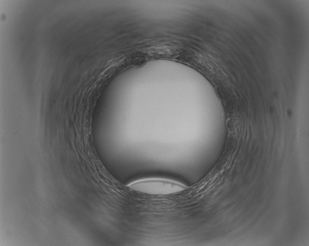 X0000065981297200603030920