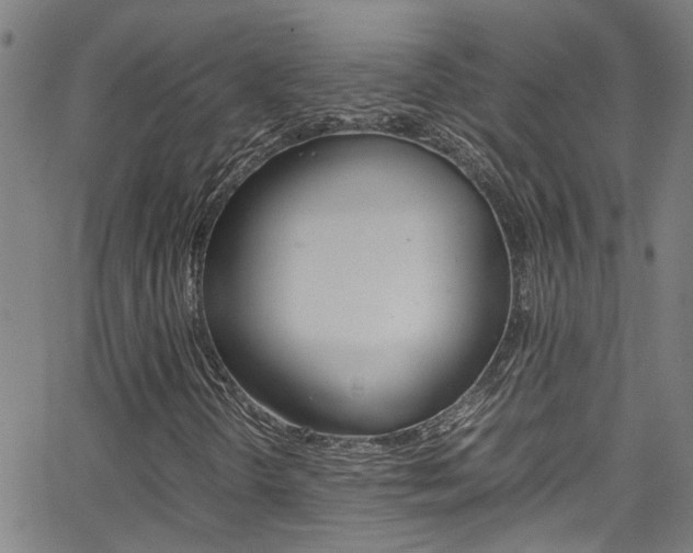 X0000065981298200603030920