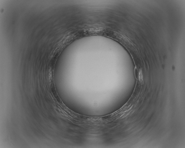 X0000065981299200603030920