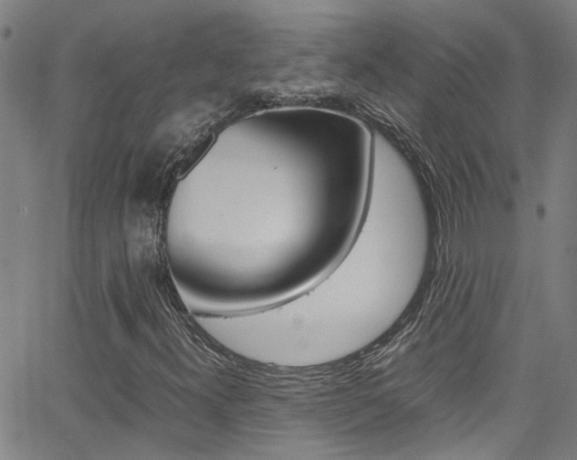 X0000065981300200603030920