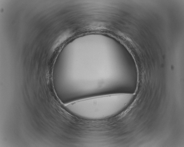 X0000065981306200603030920