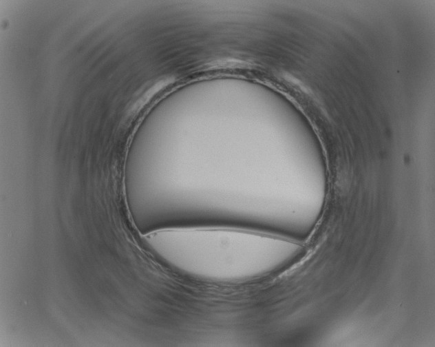 X0000065981313200603030920