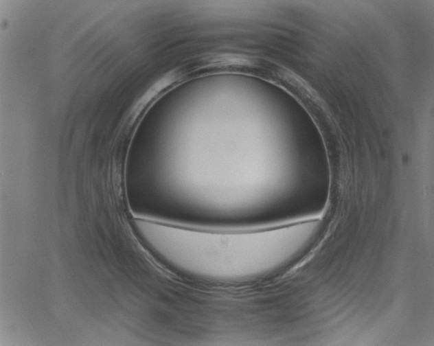 X0000065981321200603030920