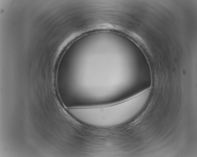 X0000065981326200603030920