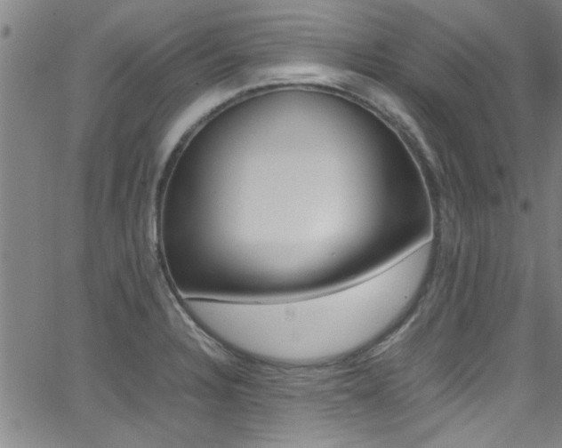 X0000065981328200603030920