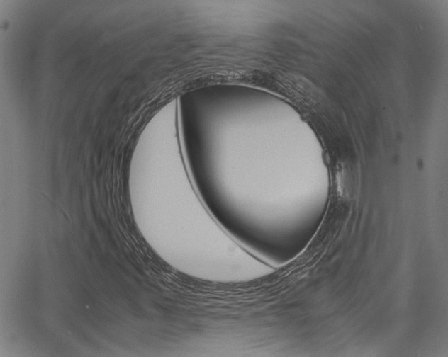 X0000065981347200603030920