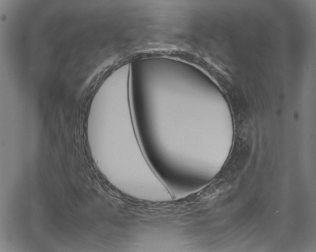 X0000065981351200603030920