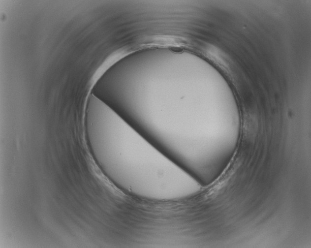 X0000065981378200603030919