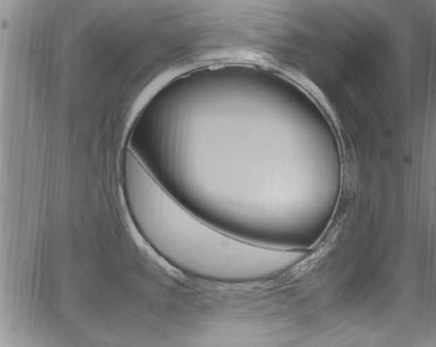 X0000065981389200603030919