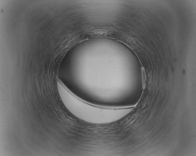 X0000065981394200603030918