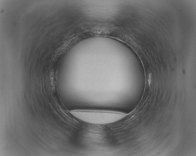X0000065981396200603030918