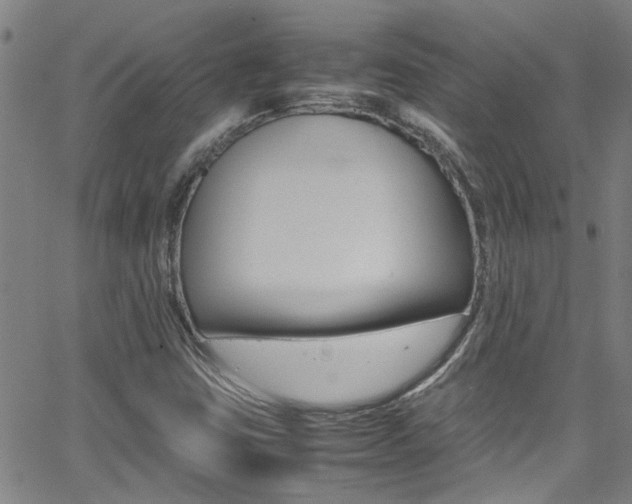 X0000065981403200603030918