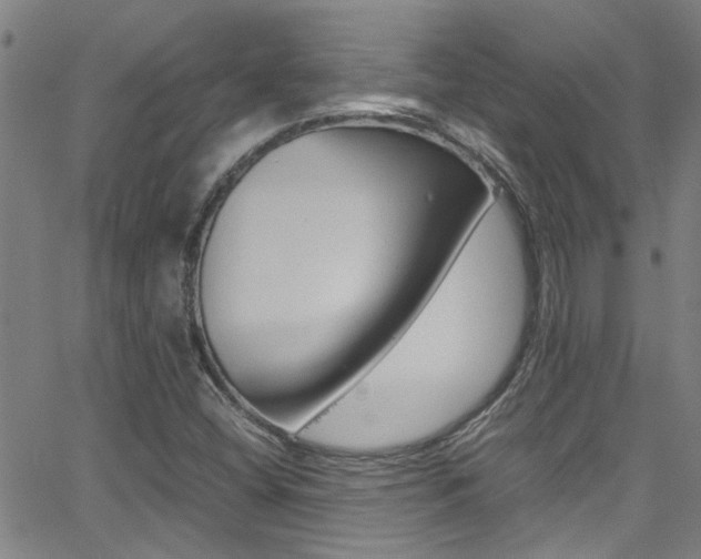 X0000065981404200603030918