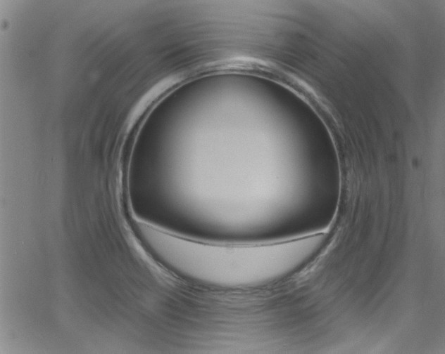 X0000065981418200603030919
