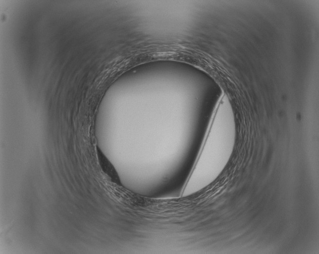 X0000065981441200603030918