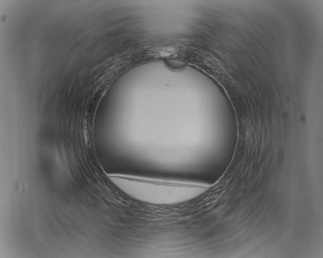 X0000065981442200603030918