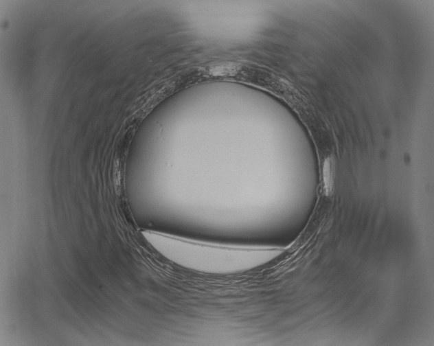 X0000065981443200603030918