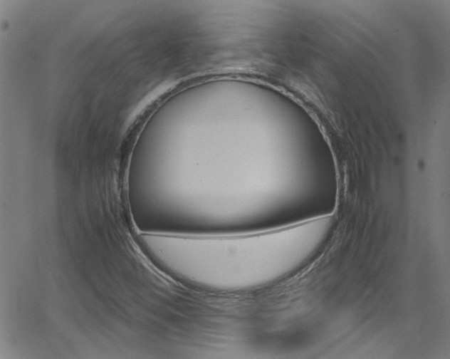 X0000065981452200603030918