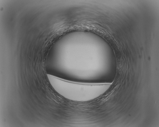 X0000065981490200603030917