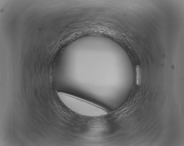 X0000065981491200603030917