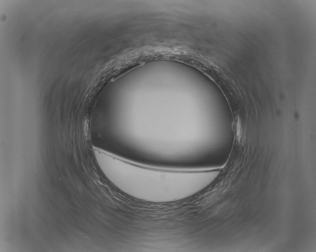 X0000065981492200603030917