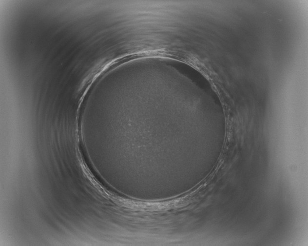 X0000065980002200603031207