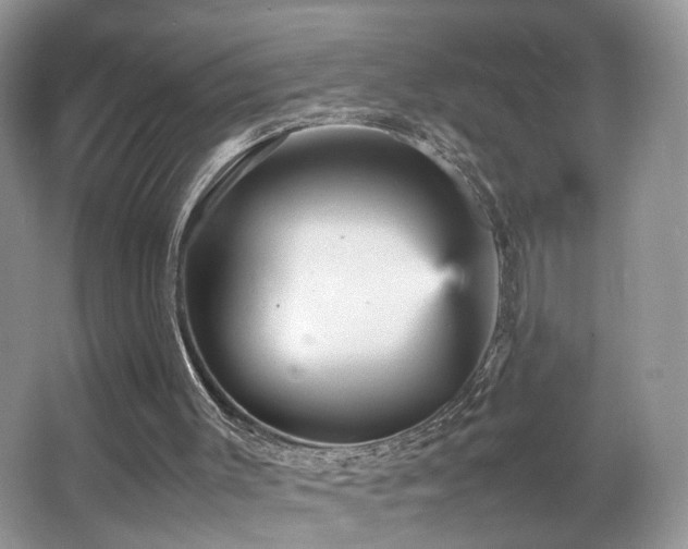 X0000065980003200603031207