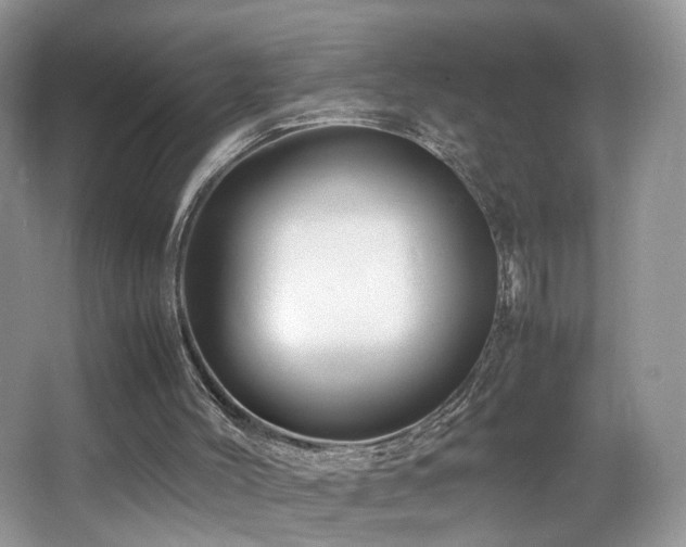 X0000065980004200603031207