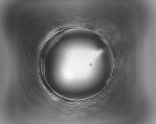 X0000065980005200603031207