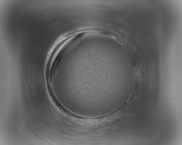 X0000065980006200603031207