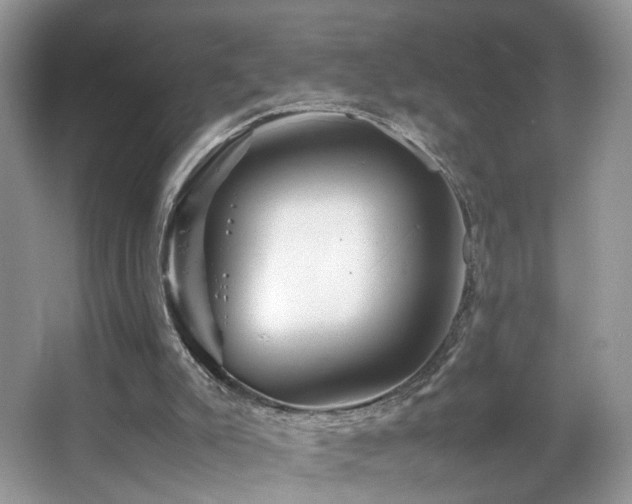 X0000065980007200603031207