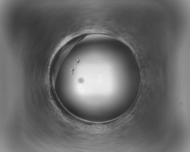 X0000065980008200603031207