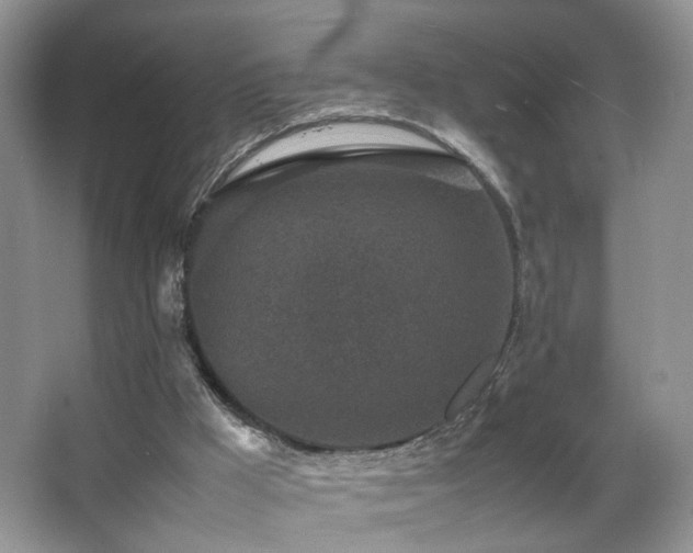 X0000065980009200603031207