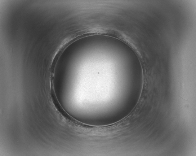 X0000065980011200603031206