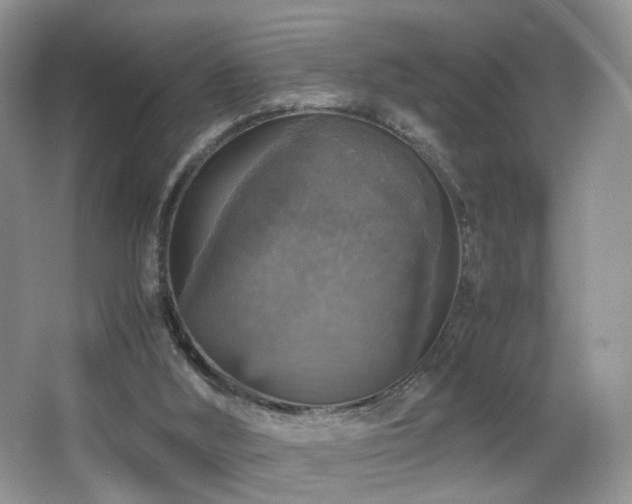 X0000065980012200603031206