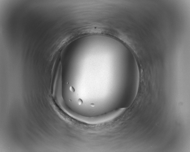 X0000065980013200603031206