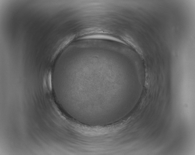 X0000065980014200603031206