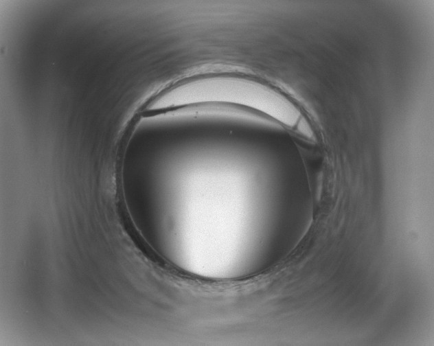 X0000065980015200603031206