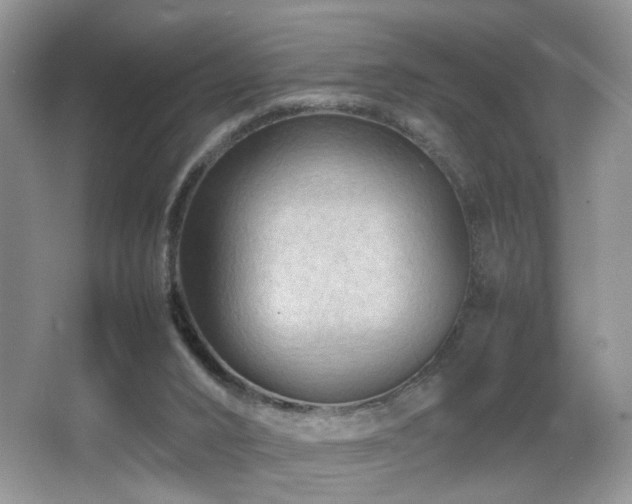 X0000065980016200603031206