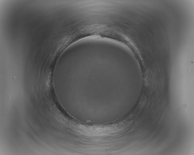 X0000065980018200603031206