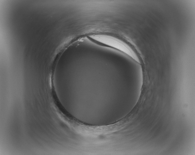 X0000065980019200603031206